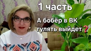А бобёр в ВК гулять выйдет❓️