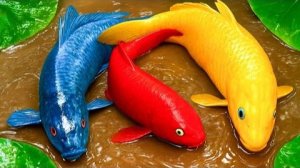 Симпатичная пара рыбок Кои завидует людям-сомам и цветам | Стоп-кадр из фильма "Мукбанг мад"