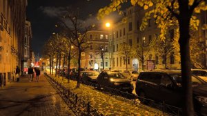 Прогулка по Санкт-Петербургу. Ул. Маяковского.