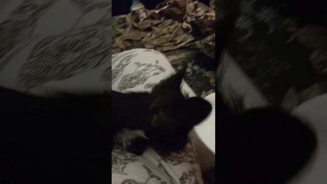 Варвара Фёдоровна💖