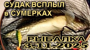 НОЧНОЙ СУДАК‼️❗️ ВЫХОД в СУМЕРКАХ. Рыбалка 3.11.2026