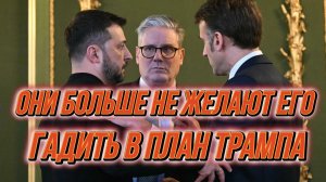 ТАМИР ШЕЙХ /  ГАДИТЬ В МИРНЫЙ ПЛАН ТРАМПА. ЕВРОПА ОТКАЗЫВАЕТСЯ. новости сводки