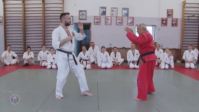 Айкисамбо: защита от ударов ногами маваши гири