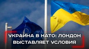 Лондон призывает Москву к переговорам: что скрывает мирный план?