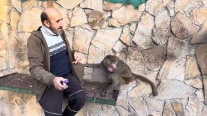 Любимый папа ПРИНЕС ВКУСНЯШКИ для Люси, как же она СМЕШНО ЕСТ!))