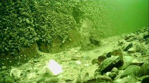 1000004925.mp4Волга гл.5м.25.11.2025г.