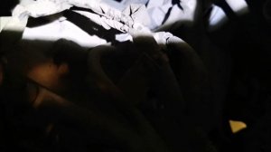 Замена стартера двигателя D17Aна аналог# аналог стартера d17a на  B20b#замена стартера на d17a