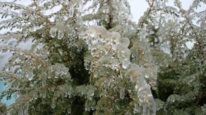 ЛЕДЯНОЙ ДОЖДЬ