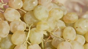 Дневной выпуск новостей от 25.11.25