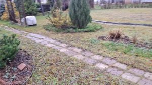 Круги в саду. Маленькие и большие. Действующие и планируемые