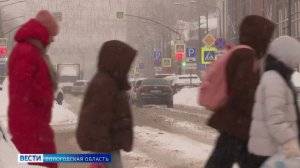 К масштабной акции «Поблагодари маму!» присоединились вологжане