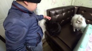 Влог от 11.10.2021