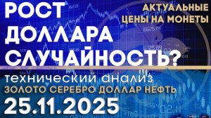 Рост доллара - случайность? Анализ рынка золота, серебра, нефти, доллара 24.11.2025 г