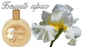Поговорим о парфюмерных ирисах. Моя новинка: L'Erbolario White Iris.