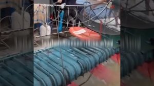 Страшное наводнение в Тайланде. Бежать некуда – кругом вода. Армия эвакуирует население и туристов