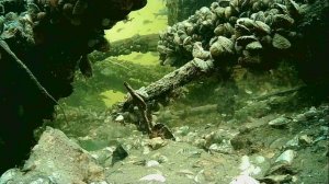 1000004927.mp4Волга гл.2м.25.11.2025г.