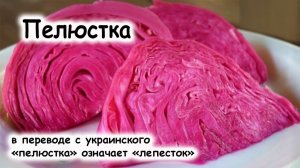 Пелюстка