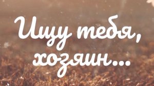Ищу тебя, хозяин