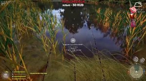 РР4! Фармим на разных водоёмах! Дай пж пж, я просто коплю. Русская Рыбалка 4
