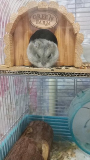 Кто в каком городе живёт