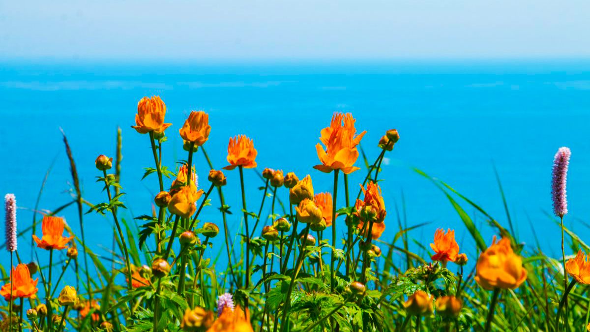 Хочу в лето, вспоминая Крым.