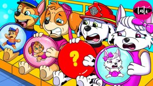 Щенячий патруль и Маршалл. Залипательное видео. Мультфильм для детей и малышей. Анимация