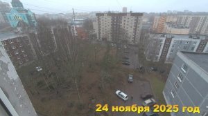 7 соток. В Выборге то снег, то дождь. Хроника 24 ноября 2025 год.