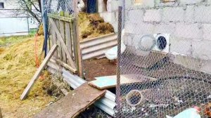 Крылатые полетели.