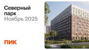Северный парк 18.11.2025