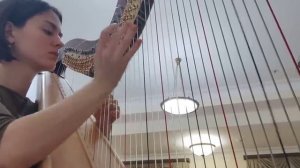 -И-С-Бах-Токката-и-фуга-d Арфа. Ашхен Геворкян