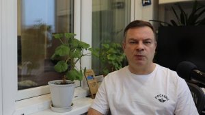 Видеостихи с балкона. Выпуск #30. На рынке