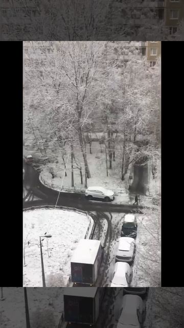 Санкт-Петербург. 24.11.2025.Мокрый снег, налипание на дорогах. Красота! МЧС предупредил. Эпизод 4