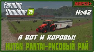 🟢Farming Simulator 25🟢. Карта  Hutan Pantai-Рисовый рай,  №42  А вот и коровы !