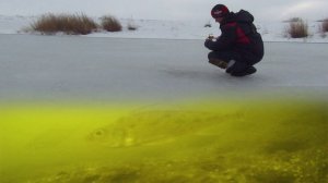 НЕ Рыбалка, а Нашествие ЕРШЕЙ! Ловля ПЛОТВЫ и ЕРША. Зимняя РЫБАЛКА с ПОДВОДНОЙ СЪЁМКОЙ