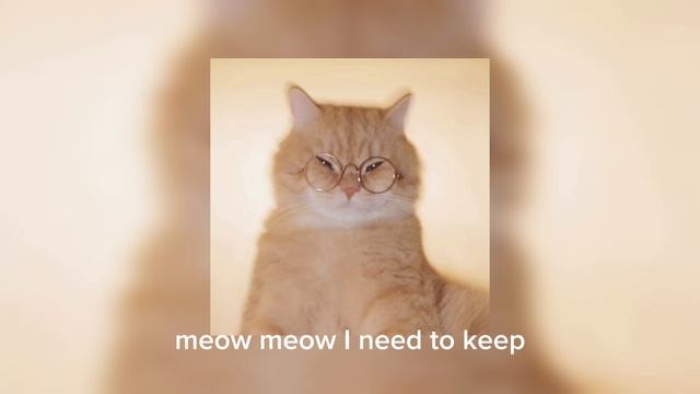 montagem miau (перезалив)