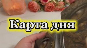 Что ждать от этого дня🔆Таро