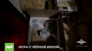 77 кило чёрной икры изъяли у югорского дальнобойщика