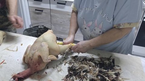 У нас# ПОМОЩНИК!. Дня мало, _РАБОТАЕМ _ по НОЧАМ!