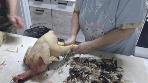 У нас# ПОМОЩНИК!. Дня мало, _РАБОТАЕМ _ по НОЧАМ!