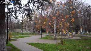 Обновления в парке А. Сулина