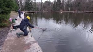 Утро на нижнем водоёме.