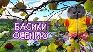 🍁🍂ТОП 5 ОСЕННИХ ДЕЛ /БАСИКИ ОСЕНЬЮ/ #басики #басик #волшебныебудни