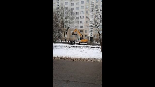 стая птиц - 25-11-2025 смотреть онлайн