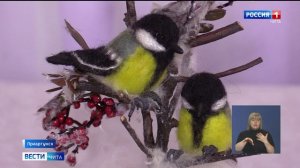 25 ноября «Вести-Чита» в 11:30 (с сурдопереводом)