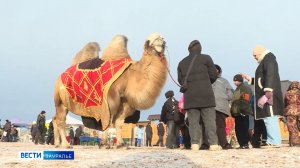 Ярмарка «Михайловский торжок» прошла в селе Рычково