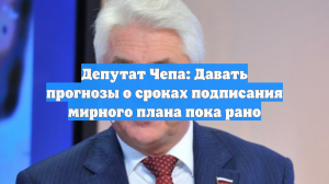 Депутат Чепа: Давать прогнозы о сроках подписания мирного плана пока рано