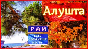Рай на набережной курорта. Алушта. Крым