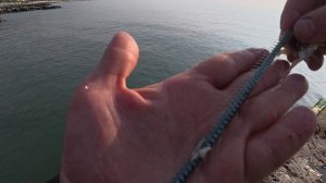 Пилькер, сарган, Сочи! Лучший отдых на рыбалке у моря!