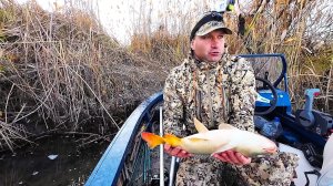 РЫБАЛКА КАК ИЗ ПУЛЕМЁТА, А МНЕ ВСЁ МАЛО - РЕШИЛ РИСКНУТЬ! Домик для рыбалки "В гостях у Клёвого Края