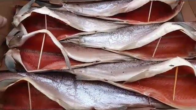 Форель тушка провесная смотреть онлайн